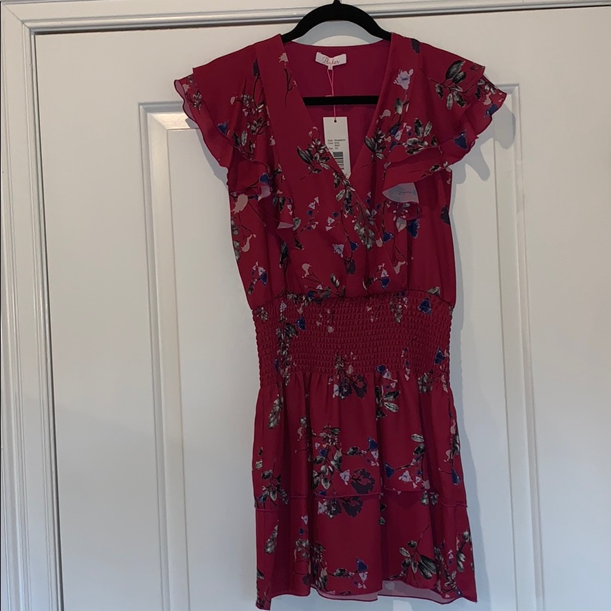 Parker Nyc Dress